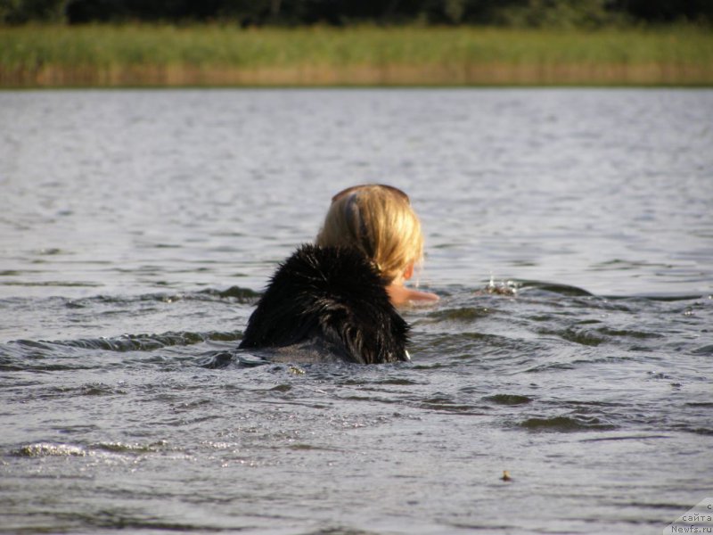 Фотография № 160853