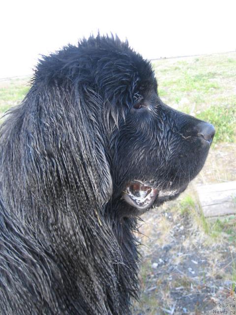 Фотография № 16086