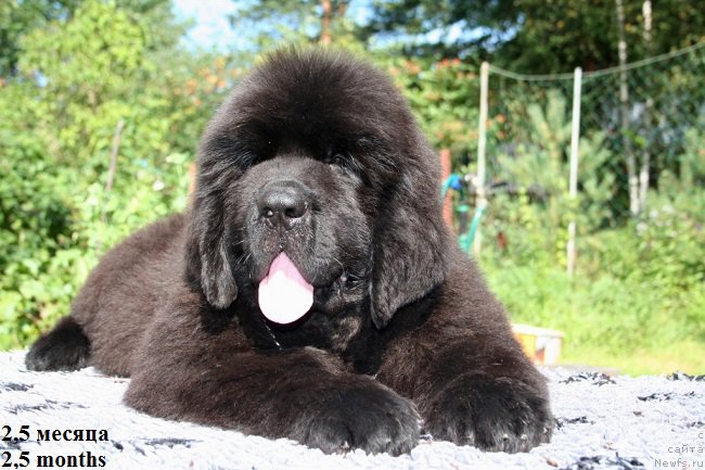 Фотография № 160860