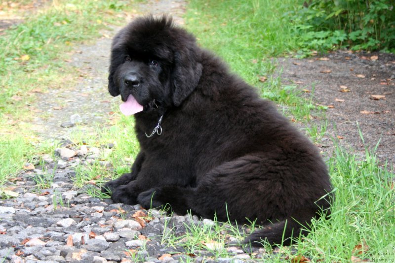 Фотография № 160864