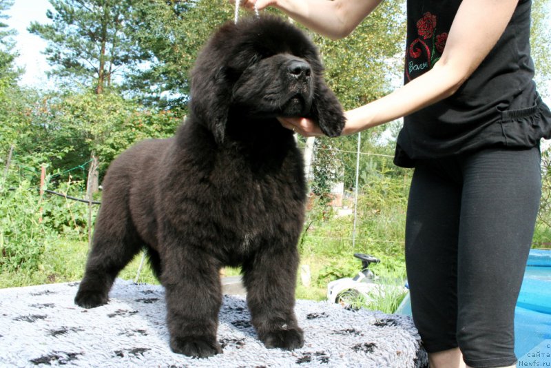 Фотография № 160868