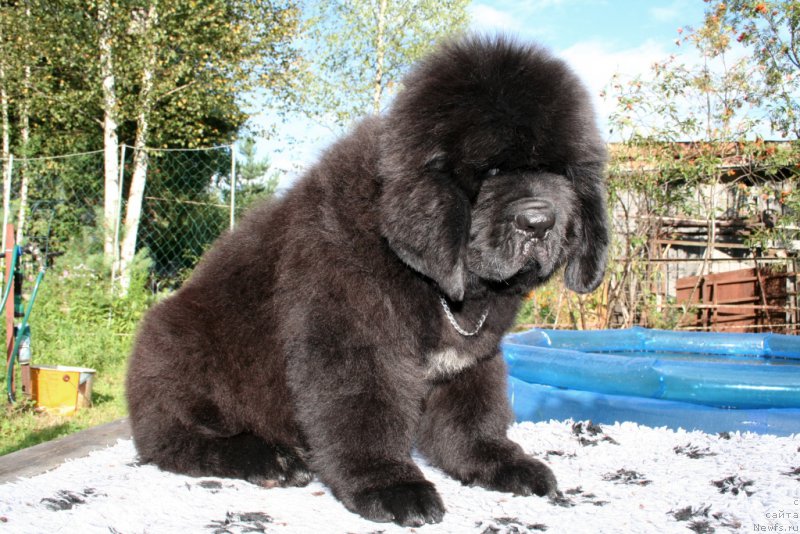 Фотография № 160869