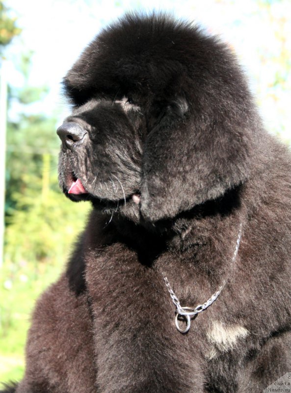 Фотография № 160873