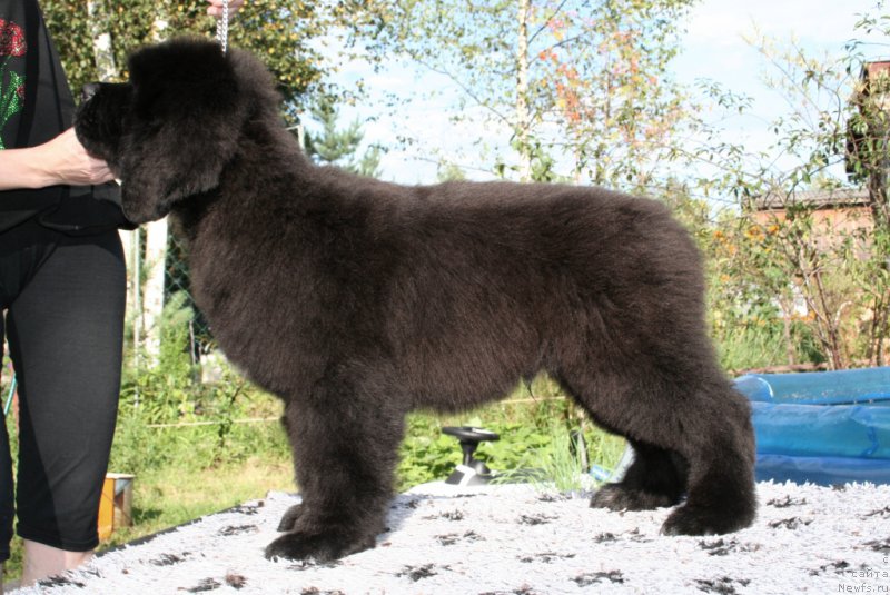 Фотография № 160875