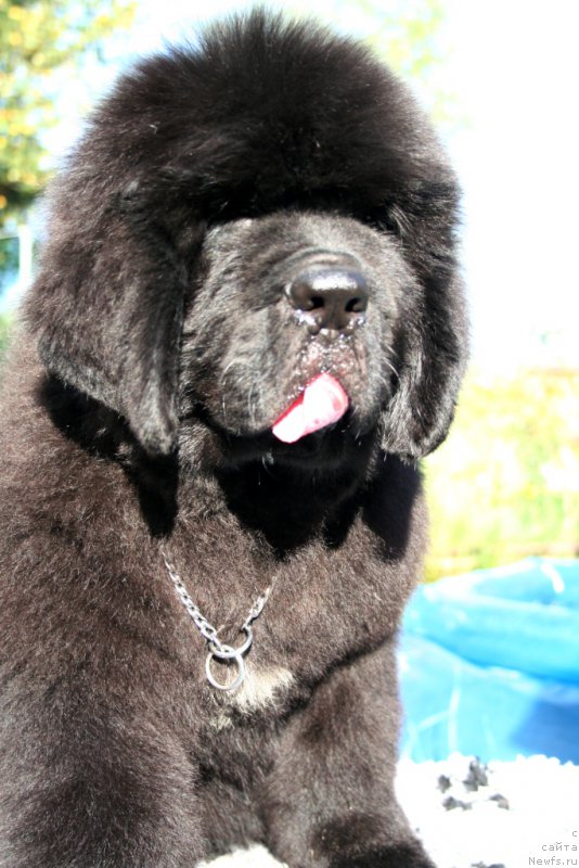 Фотография № 160877