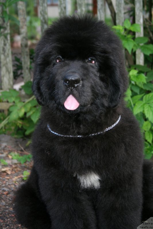 Фотография № 160882