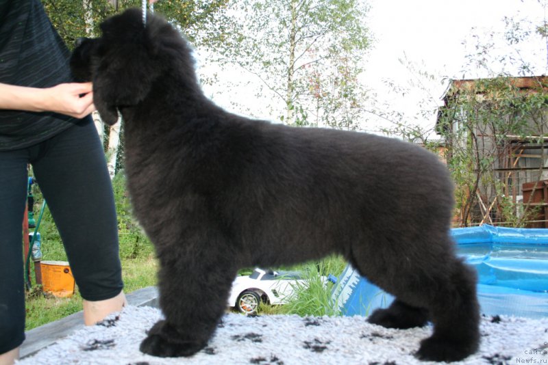 Фотография № 160887