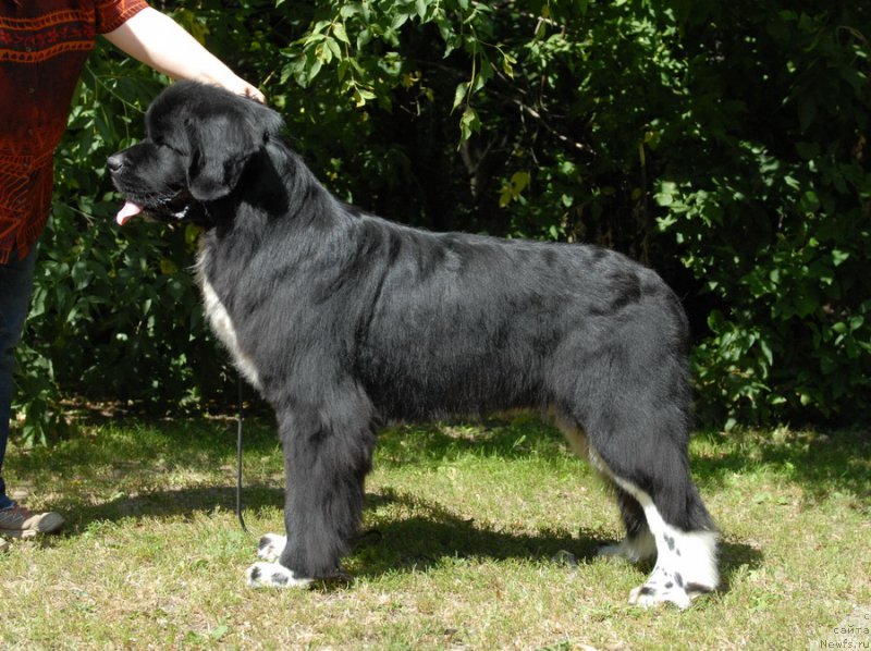 Фотография № 160904