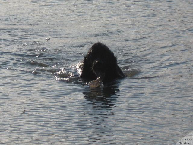 Фотография № 16091