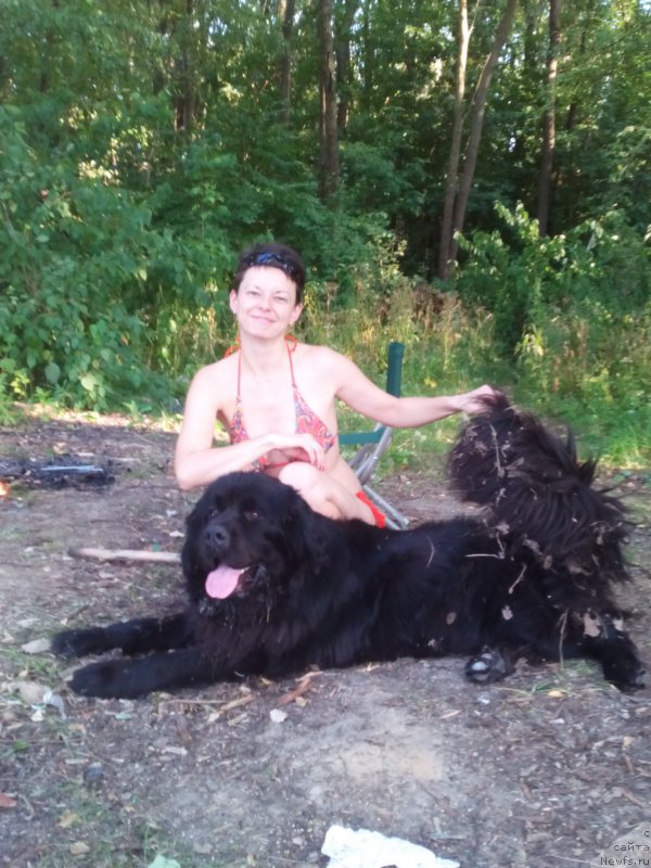 Фотография № 160917