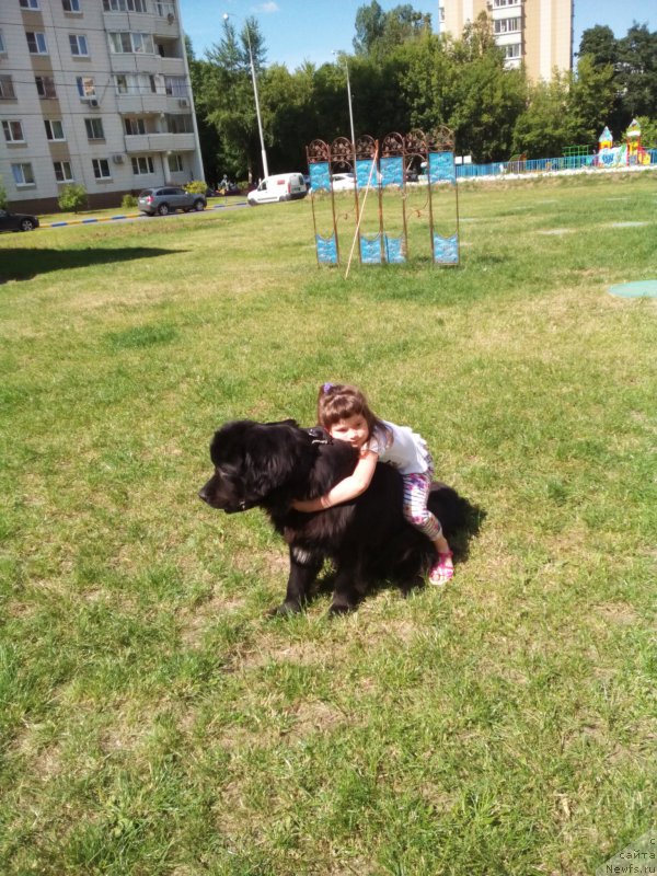 Фотография № 160918