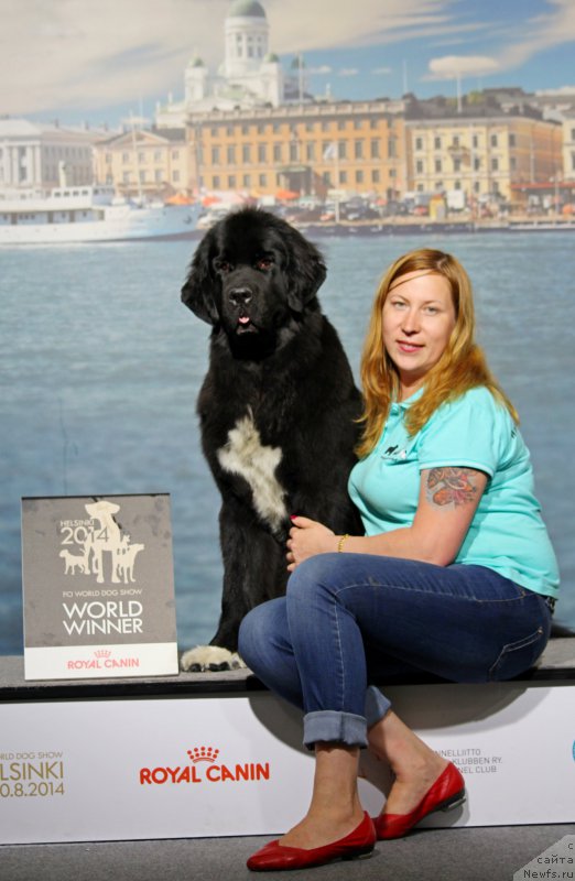 Фото: [d12727] и, Юлия Баджадж