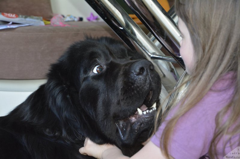 Фотография № 160931