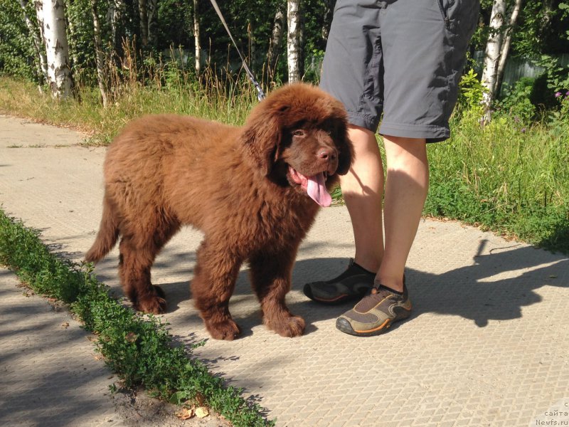 Фотография № 160935