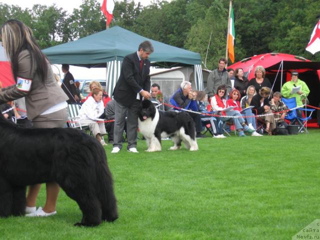 Фотография № 16094