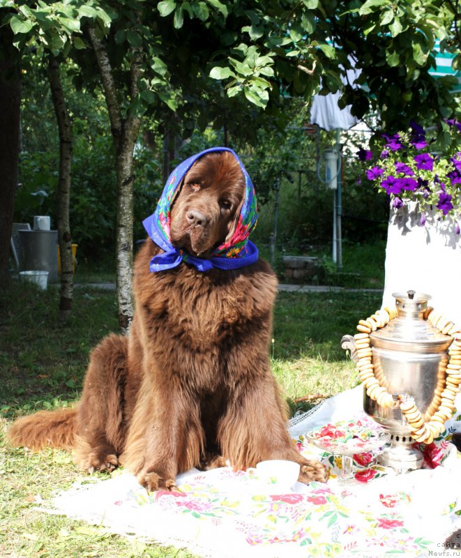 Фотография № 160940