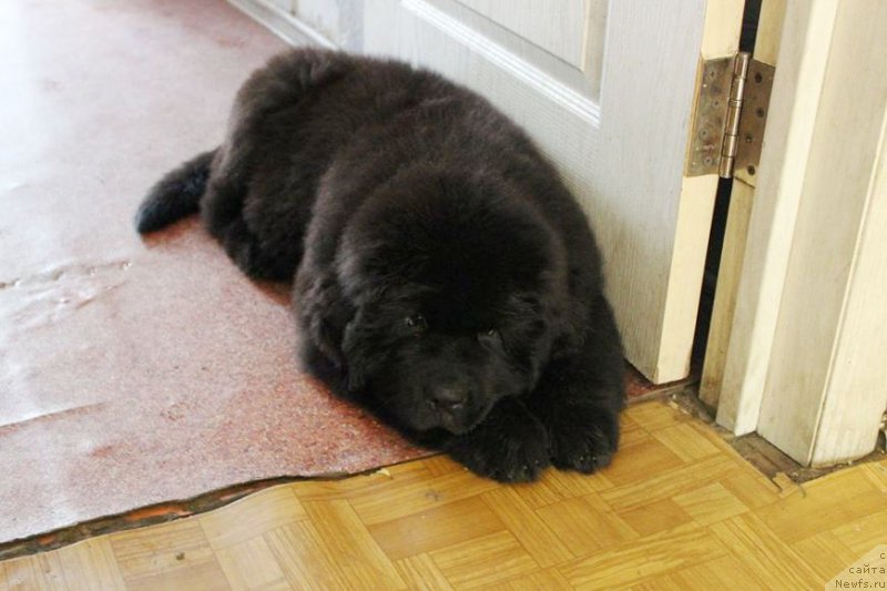 Фотография № 160951