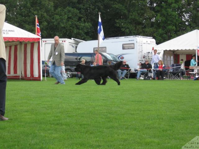 Фото: Newfland's Kon Tiki