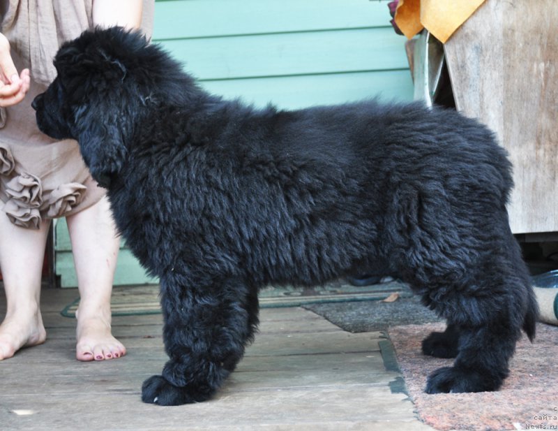 Фотография № 161038