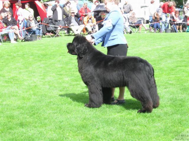 Фотография № 16106