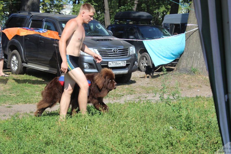 Фотография № 161063