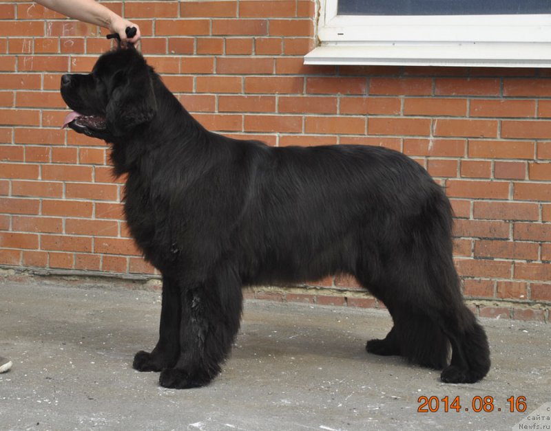 Фотография № 161108