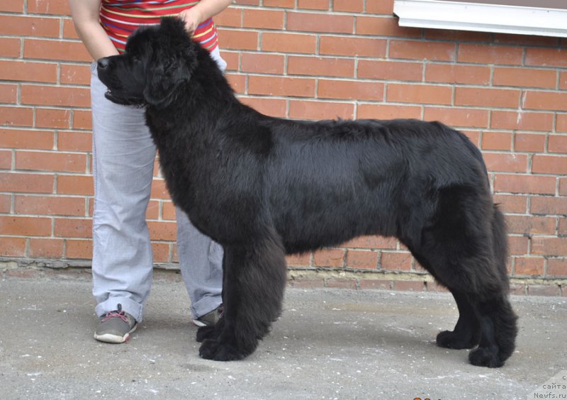 Фотография № 161109