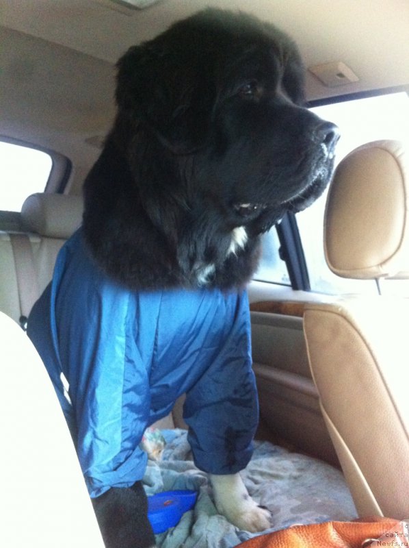 Фотография № 161136