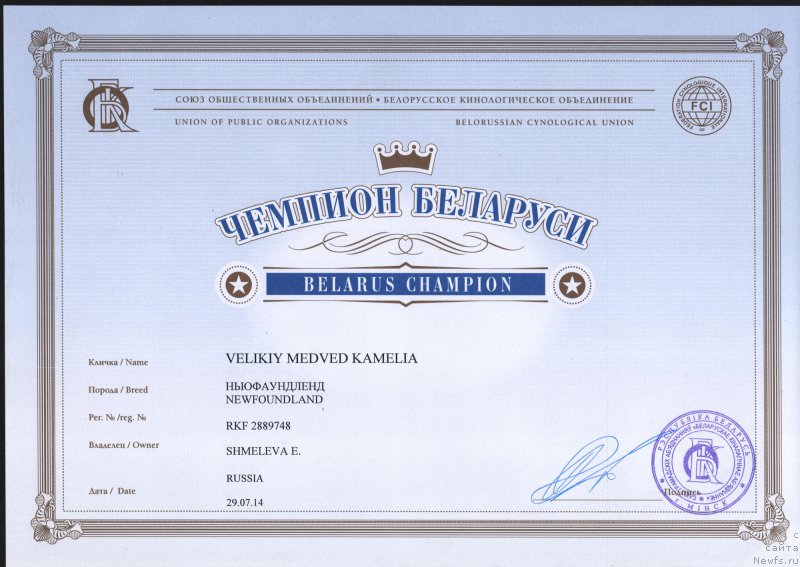 Фото: ньюфаундленд Великий Медведь Камелия