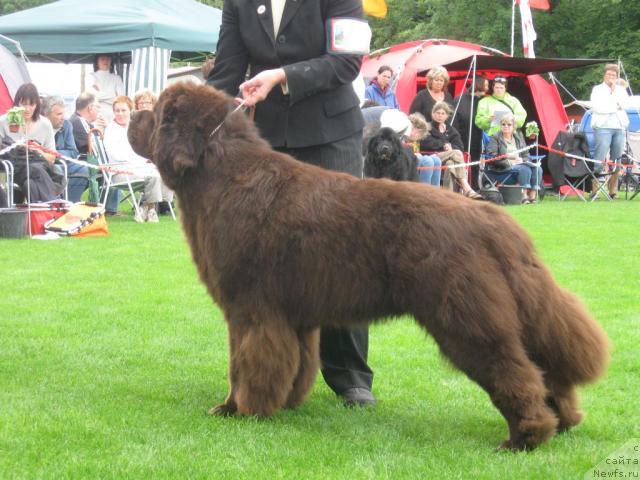 Фото: Velvet Bernstein Bar Vonder Ortenau