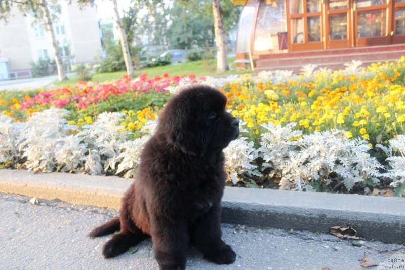 Фотография № 161160