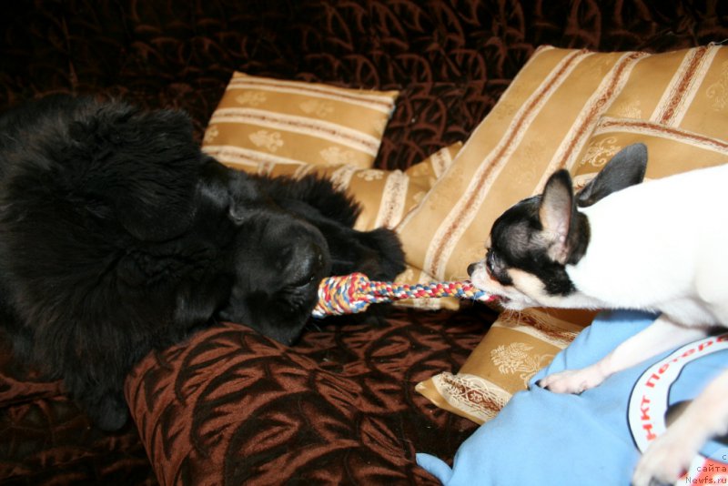 Фотография № 161161