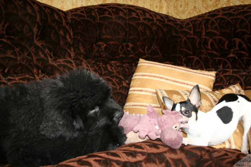 Фотография № 161167