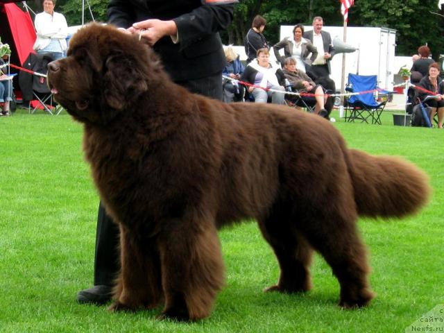 Фото: Velvet Bernstein Bar Vonder Ortenau