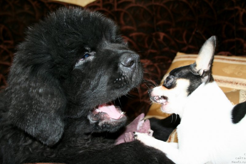 Фотография № 161171