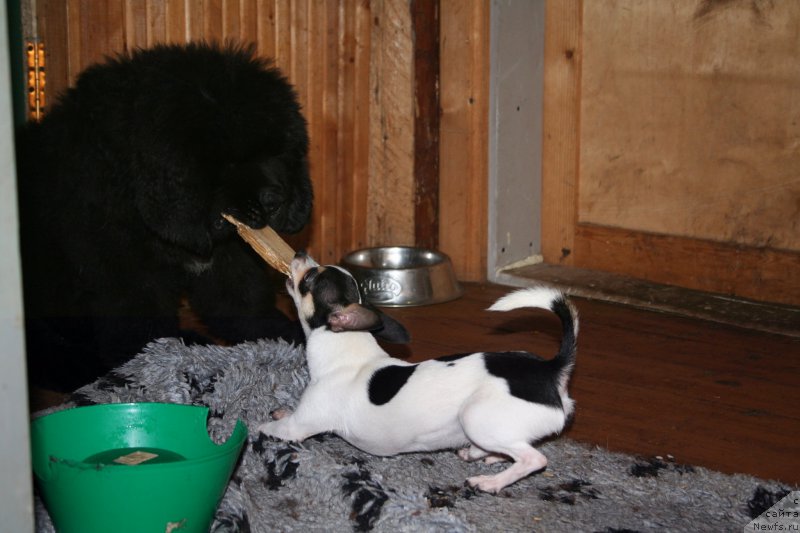 Фотография № 161173