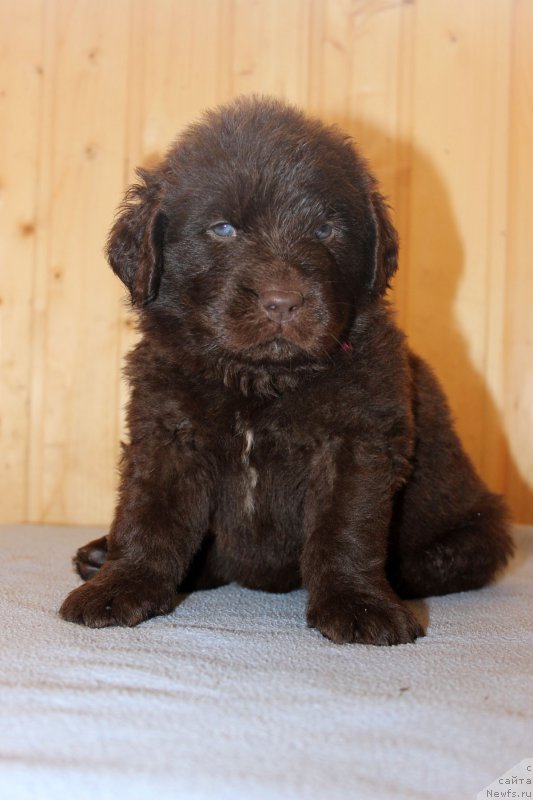 Фотография № 161188