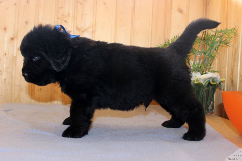 Фотография № 161195