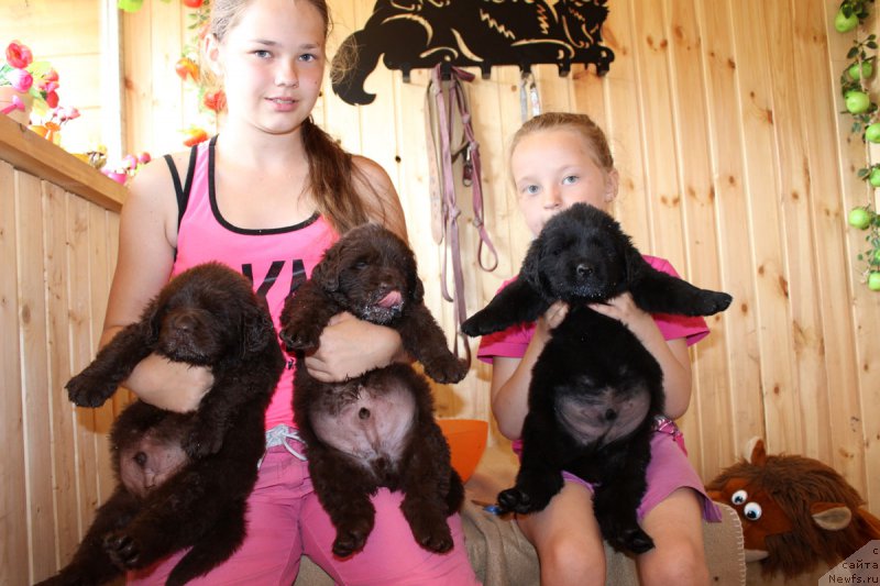 Фотография № 161212