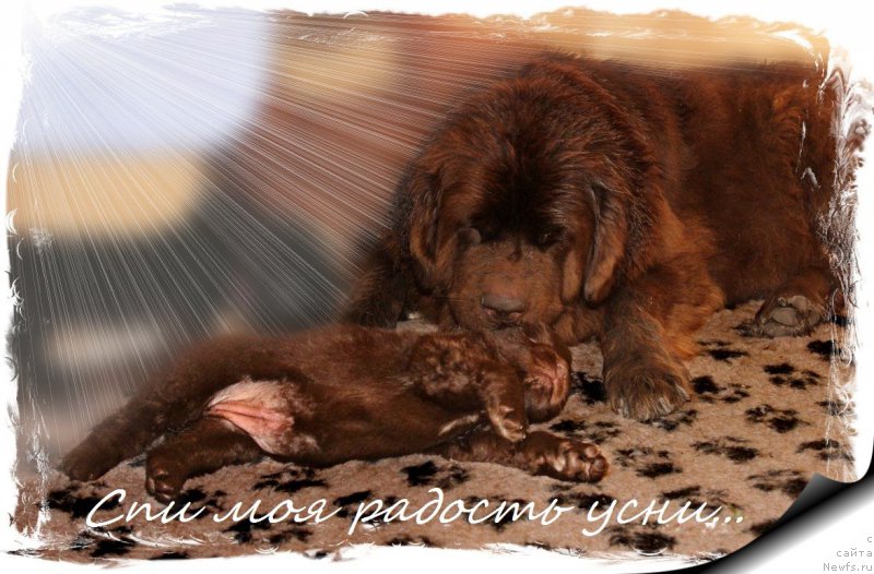 Фотография № 161223