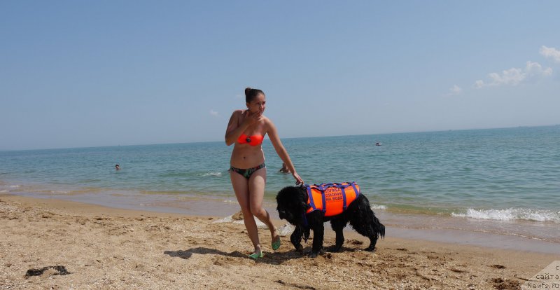 Фотография № 161225