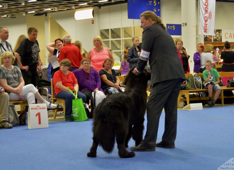 Фотография № 161232