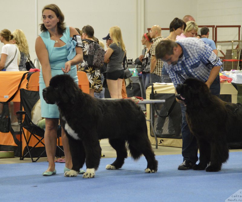 Фотография № 161238