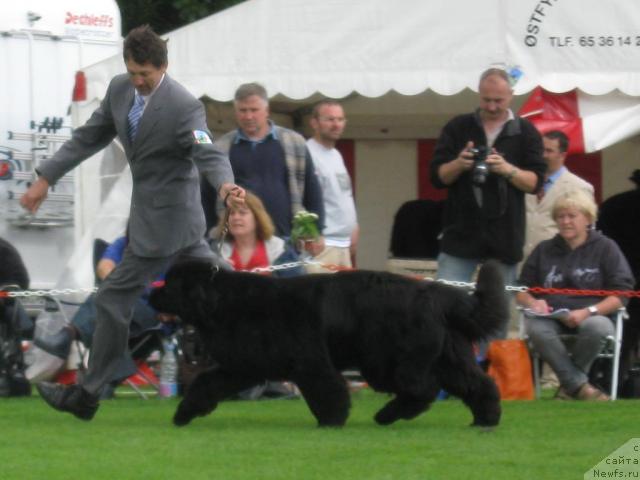 Фото: Freedom Parming V. Schonbuhl