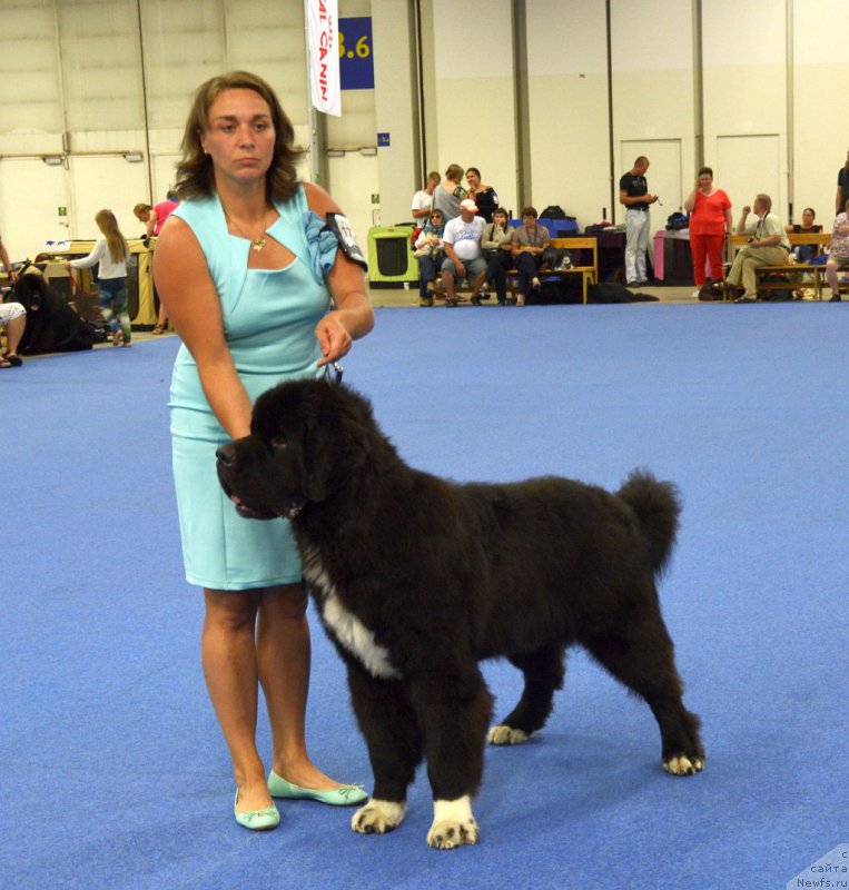 Фотография № 161241