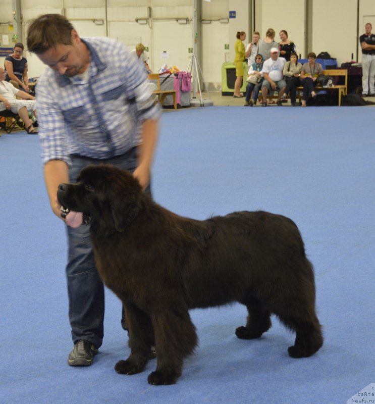 Фотография № 161242