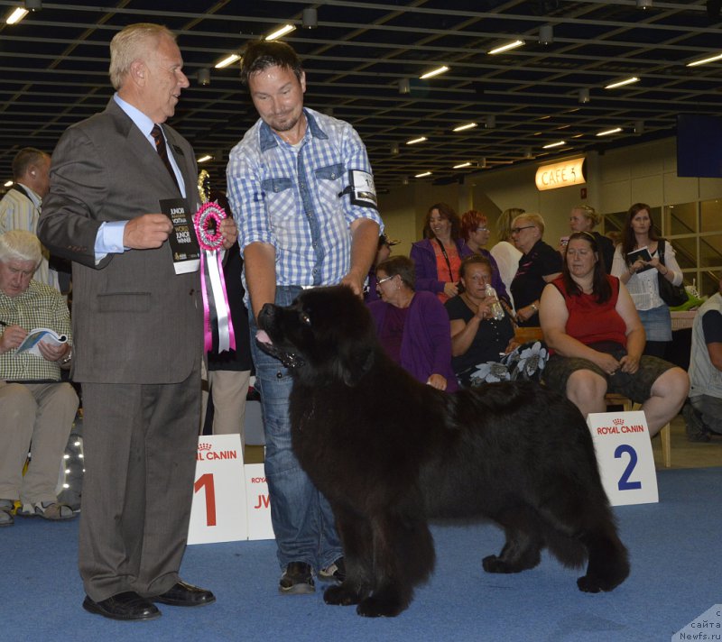 Фотография № 161243