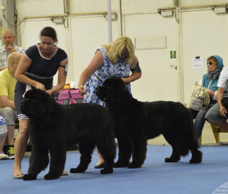 Фотография № 161248