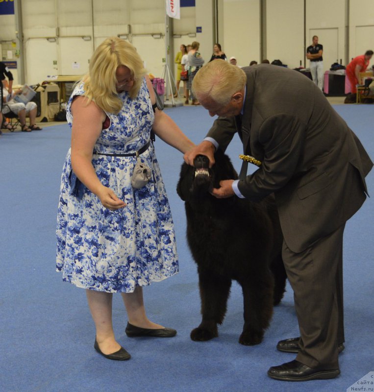 Фотография № 161249