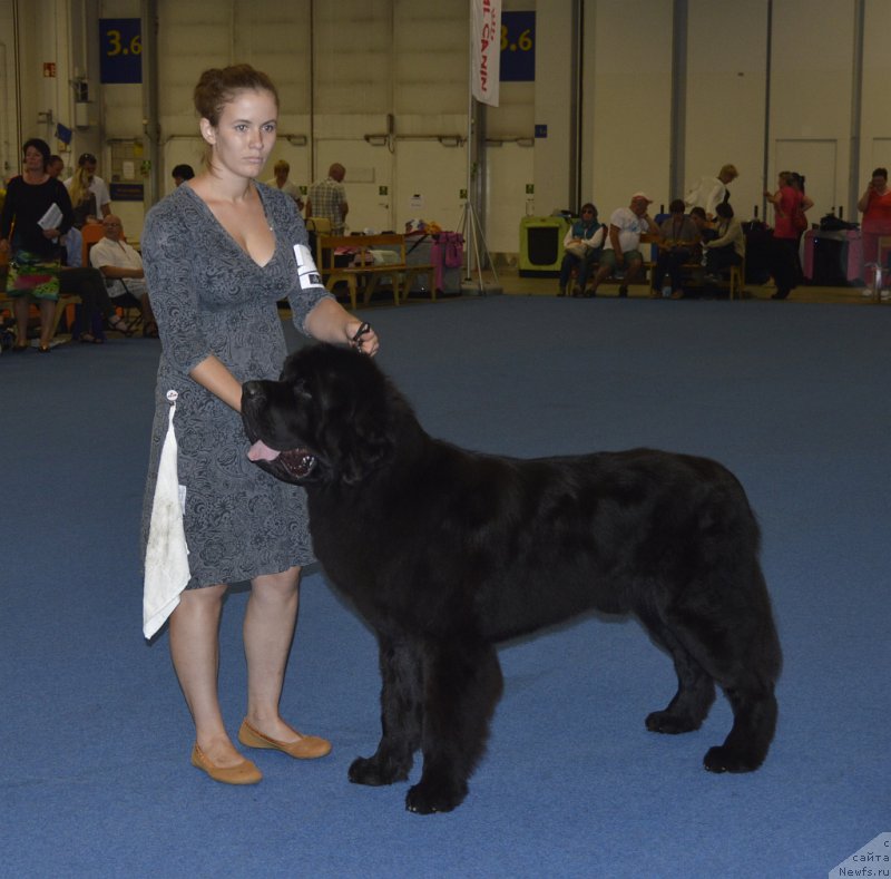 Фотография № 161252